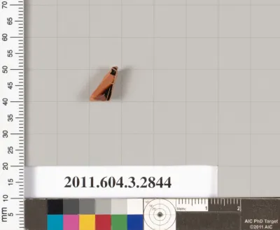 Terracotta fragment of a closed shape