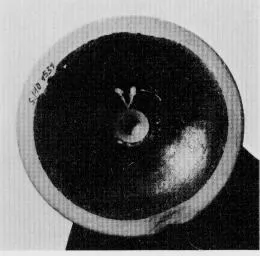 CUP, FRAGMENT (ATHENIAN, RED-FIGURE)