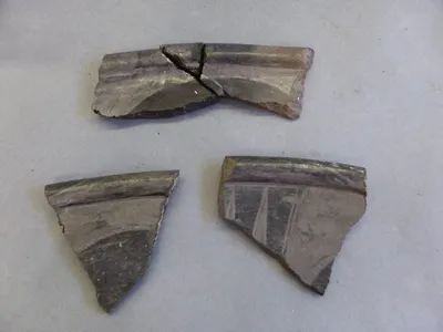 plat ; fragment