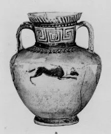 AMPHORA, BELLY (EAST GREEK, FIKELLURA, OUTLINE)