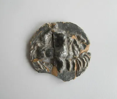 coupe  ; médaillon de vase