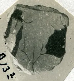 FRAGMENT (ATHENIAN, RED-FIGURE)