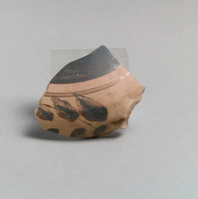 Vase fragment