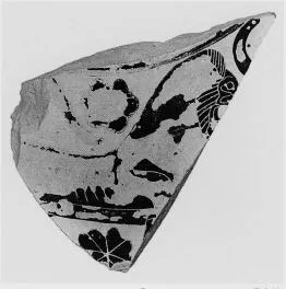 FRAGMENT (CORINTHIAN, BLACK-FIGURE)