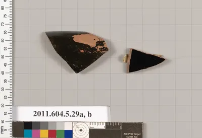 Terracotta fragments of kylikes (drinking cups)