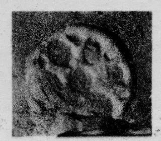 CUP, STEMLESS, FRAGMENT (SOUTH ITALIAN, CAMPANIAN, RELIEF)
