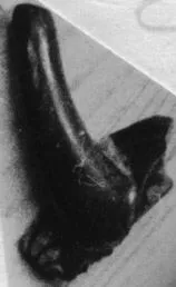 CUP, FRAGMENT (ATHENIAN, RED-FIGURE)