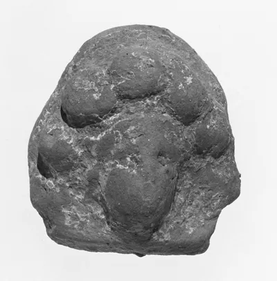 Female Head