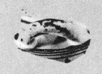 PYXIS, FRAGMENT (CORINTHIAN)