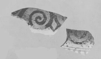 AMPHORA, BELLY, FRAGMENT (EAST GREEK, FIKELLURA)
