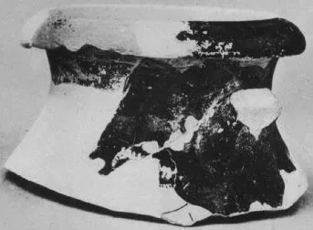 PELIKE (ATHENIAN, RED-FIGURE)