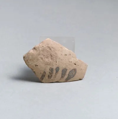 Vase fragment