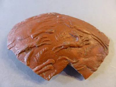 vase ; fragment