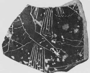 AMPHORA (?), FRAGMENT (ATHENIAN, BLACK-FIGURE)