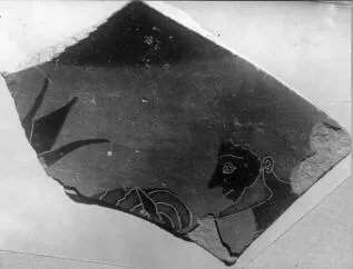 AMPHORA, BELLY, FRAGMENT (ATHENIAN, BLACK-FIGURE)