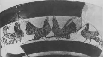 CUP, LITTLE MASTER BAND (ATHENIAN, BLACK-FIGURE)