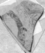 CUP, FRAGMENT (ATHENIAN, RED-FIGURE)