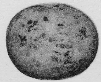 ARYBALLOS (CORINTHIAN, BLACK-FIGURE)