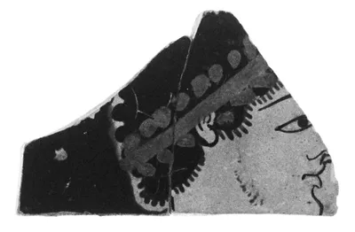 Attic Red-Figure Kylix Fragments (22)