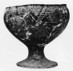 CUP (VILLA NOVA)