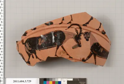 Terracotta fragment of a neck-amphora (jar)