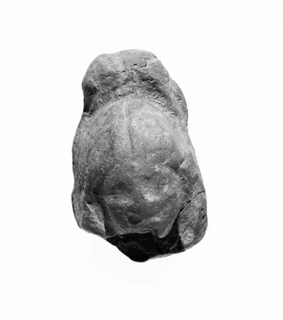 Female Head