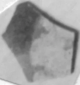 CUP, FRAGMENT (ATHENIAN, RED-FIGURE)
