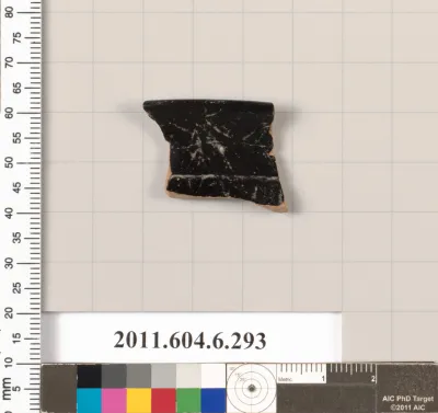 Terracotta fragment of a calyx-cup?