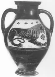 AMPHORA, BELLY, TYPE B (ATHENIAN, BLACK-FIGURE)