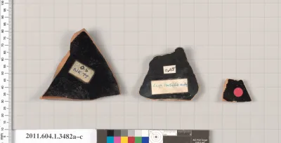 Terracotta fragments of kylikes (drinking cups)