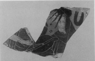LOUTROPHOROS, FRAGMENT (ATHENIAN, BLACK-FIGURE)