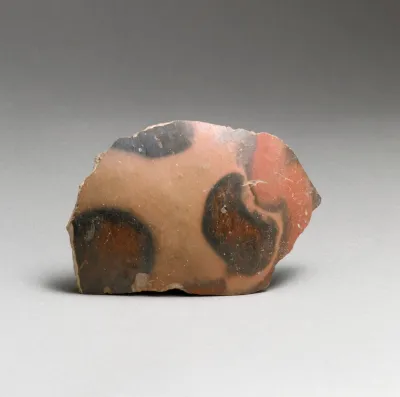 Vase fragment