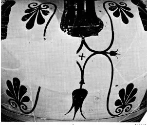 AMPHORA, NECK (ATHENIAN, BLACK-FIGURE)