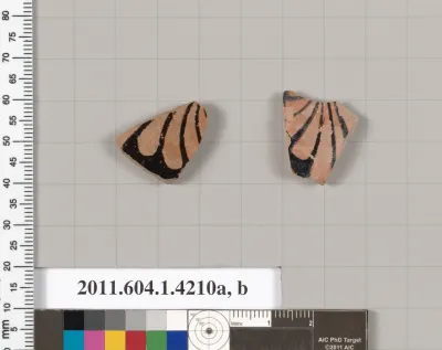 Terracotta fragments of kylikes (drinking cups)