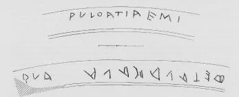 CUP DROOP (ATHENIAN, BLACK-FIGURE)