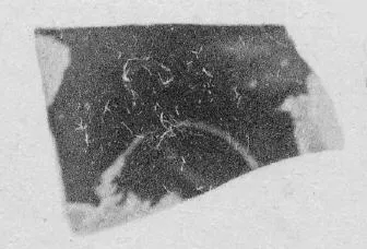 CUP, FRAGMENT (ATHENIAN, RED-FIGURE)