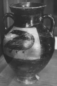 AMPHORA, BELLY, TYPE B (ATHENIAN, BLACK-FIGURE)