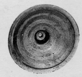LID (ATHENIAN, BLACK-FIGURE)