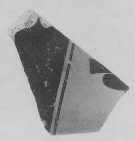 AMPHORA, PANATHENAIC PRIZE, FRAGMENTS (ATHENIAN, BLACK-FIGURE)