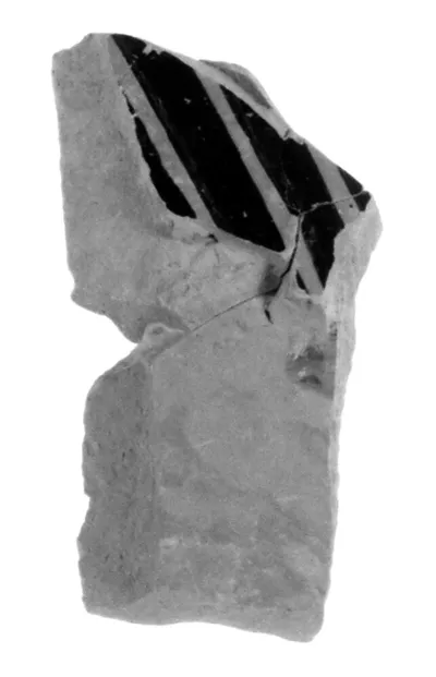Attic Red-Figure Duck Askos Fragment (comprised of 2 joined fragments)