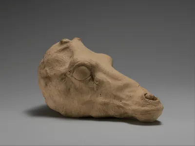 Terracotta head of a deer