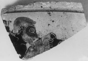 FRAGMENT (ATHENIAN, BLACK-FIGURE)