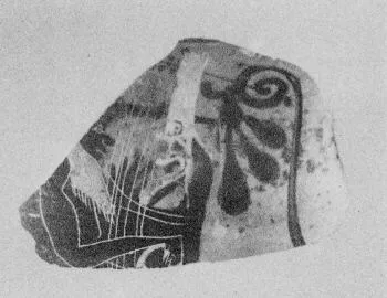 AMPHORA, BELLY, FRAGMENT (ATHENIAN, BLACK-FIGURE)