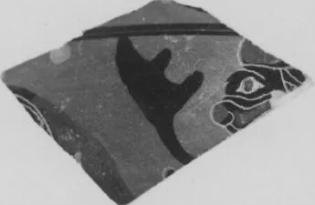 FRAGMENT (ATHENIAN, BLACK-FIGURE)