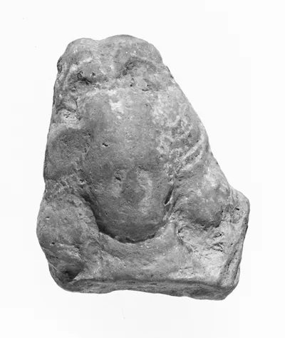 Female Head