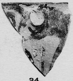 SKYPHOS, FRAGMENT (ATHENIAN, RED-FIGURE)