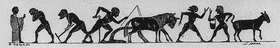 CUP, LITTLE MASTER BAND (ATHENIAN, BLACK-FIGURE)