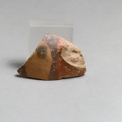Vase fragment