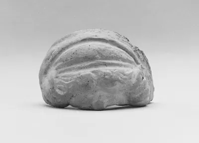 Female Head Fragment