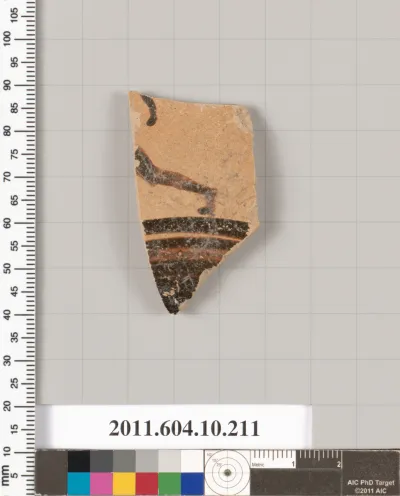 Terracotta fragment of an amphora (jar)